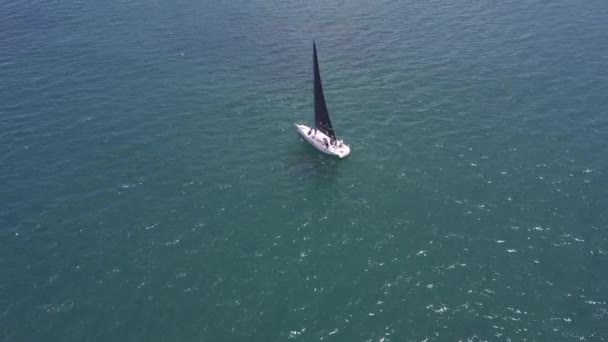 Zeilboot Met Het Grootzeil Volg Draaiboei Tijdens Race — Stockvideo