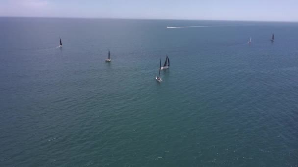 赛程中 主帆帆船沿着转向浮标前进 — 图库视频影像