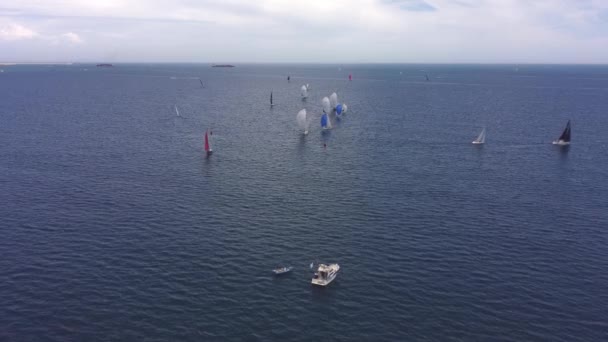 Sailboat Kompetisi Berlayar Valencia Banyak Yacht Dengan Spinnaker Mengikuti Pelampung — Stok Video