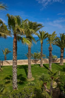 Peniscula 'nın ortaçağ şatosunun bahçesinden Akdeniz manzarası. İspanya.
