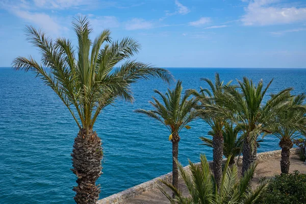 Blick Auf Das Mittelmeer Vom Garten Der Mittelalterlichen Burg Von — Stockfoto