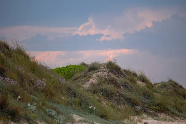Песчаные Дюны Заросли Травой Фоне Облачного Неба Лучах Заходящего Солнца — стоковое фото