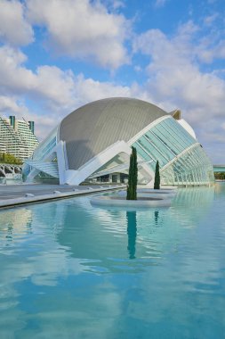 Valencia, İspanya - 26 Temmuz 2023: Güneşli bir günde İnsansız Sanat ve Bilim Şehri