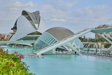 Valencia, İspanya - 26 Temmuz 2023: Güneşli bir günde İnsansız Sanat ve Bilim Şehri