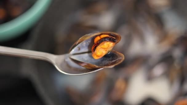 Cooking Mussels Pan Home Close View Mussel Spoon — Stock Video