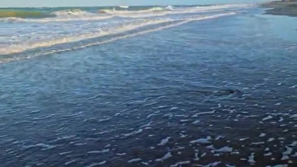 海の波が浜辺に 太陽の光線で撮影する — ストック動画