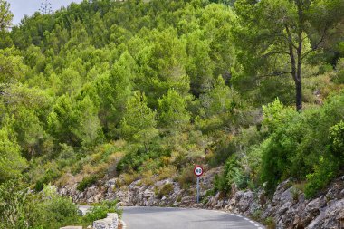 Ağaçlarla kaplı güzel dağlarda hız limiti.