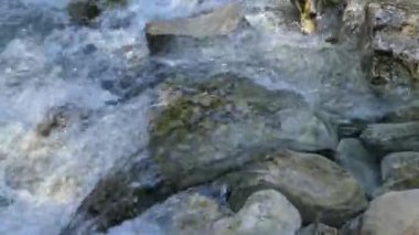 Bir dağ nehrindeki kristal berrak su ve taşlara yaklaş. Les Fonts de l 'Algar, İspanya.