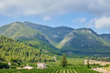 Yaz günü dağların eteklerinde meyve bahçesi, beyaz bulutlu mavi gökyüzü. Kırsalda sağlıklı organik gıdalar, organik tarım, hasat, bahçıvanlık..