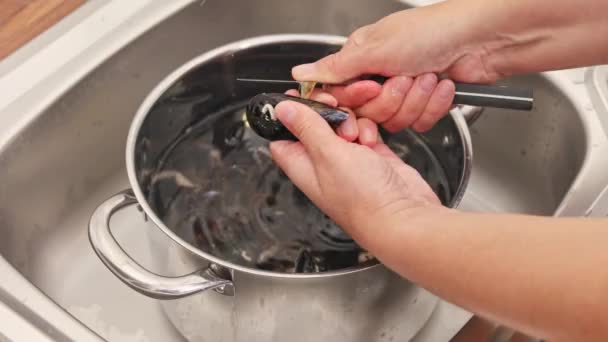Kagylót Főzök Otthon Főzőkagyló Tisztítása Előkészítése — Stock videók