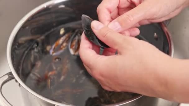Cooking Mussels Home Cleaning Preparation Mussels Cooking — Stock Video