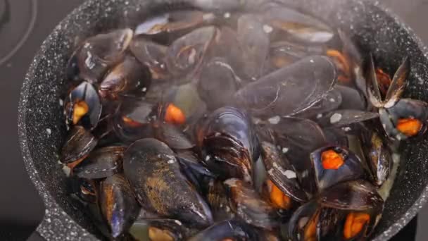 Cooking Mussels Pan Home Close Mussels Simmering White Wine — Stock Video