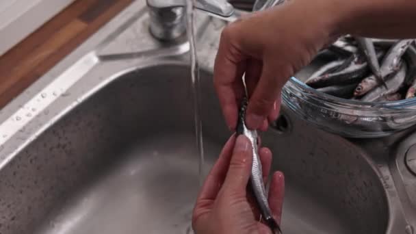 Gospodyni Domowa Sprząta Sardele Rękami Przed Gotowaniem — Wideo stockowe