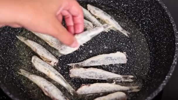 Pohled Zblízka Kuchaře Vařícího Sardele Osoba Přidávající Syrové Ryby Pánve — Stock video