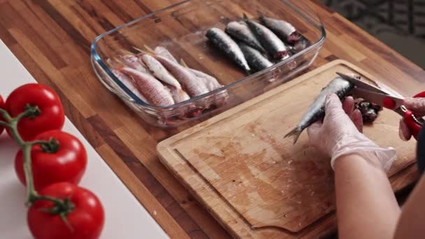 Pohled Zblízka Kuchaře Vařícího Malé Sardinky Žena Domácnosti Čistí Ryby — Stock video