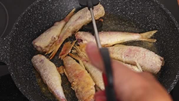 Close Zicht Chef Kok Koken Rode Mullet Vis Hand Met — Stockvideo