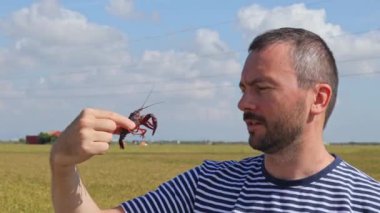 Bir adamın eli Albufera, Valencia, İspanya 'da pirinç tarlasında yakalanmış kırmızı bir bataklık kerevitini tutuyor..