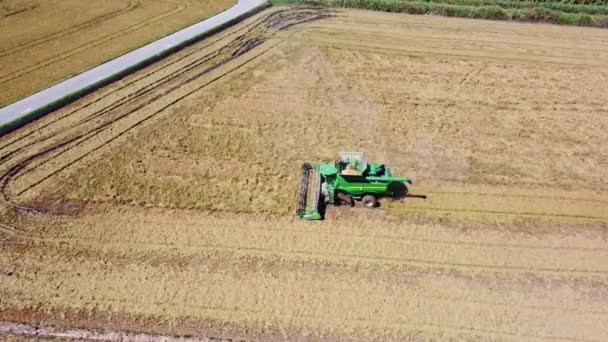 Valencia Spanya Eylül 2023 Albufera Pirinç Tarlası Hasat Etme Makinesi — Stok video