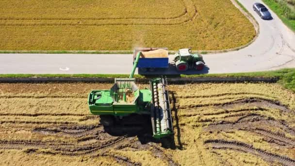 Βαλένθια Ισπανία Σεπτεμβρίου 2023 Μηχανή Συγκομιδής Ρυζιού Στο Χωράφι Που — Αρχείο Βίντεο