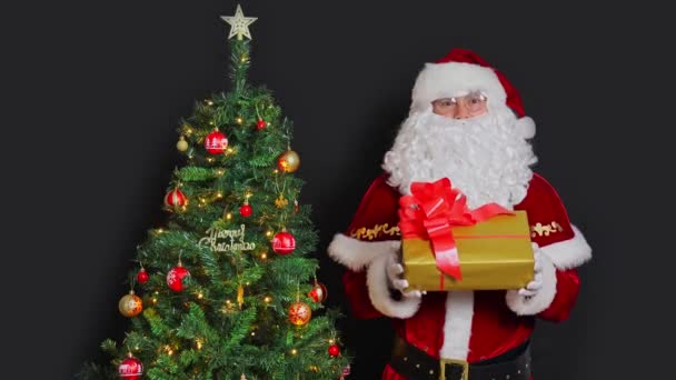 Santa Claus Stands Next Christmas Tree Offers Box Gift Black — Stock Video