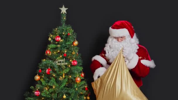 Jultomten Står Bredvid Julgranen Tar Låda Med Gåva Från Presentpåse — Stockvideo