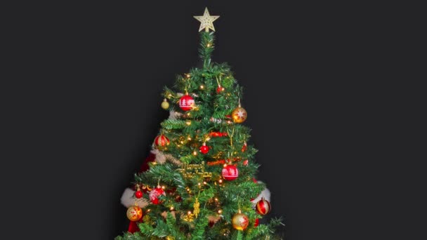 Papai Noel Com Presente Olha Para Fora Trás Árvore Natal — Vídeo de Stock