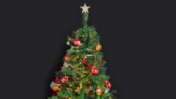 Der Weihnachtsmann Mit Geschenk Schaut Hinter Dem Weihnachtsbaum Hervor Winkt — Stockvideo