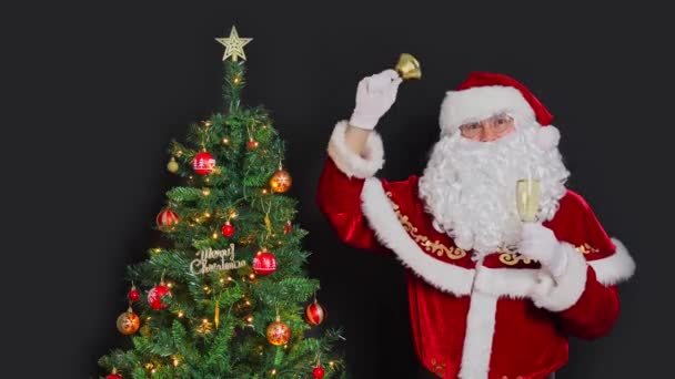 Noel Baba Bir Bardak Köpüklü Şarapla Noel Ağacının Yanında Duruyor — Stok video