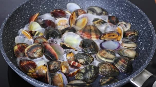 Cooking Clams Pan Home Close Clams Simmering White Wine — Stock Video