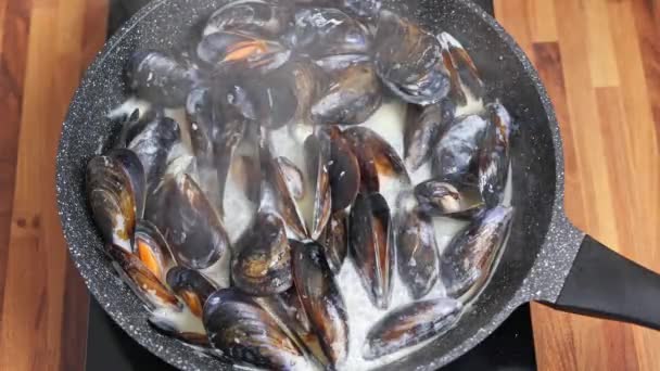 Close Steamed Mediterranean Mussels Prepared Aromatic Herbs Cream Sauce — Stock Video