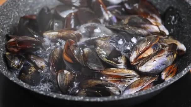 在家里的煎锅里煮地中海贻贝 轮调缓慢 — 图库视频影像