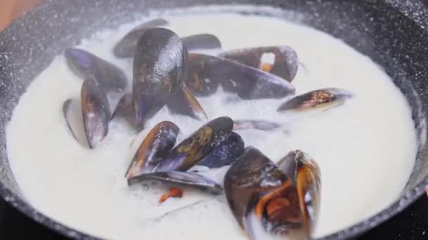 Close Steamed Mediterranean Mussels Prepared Cream Sauce — Stock Video