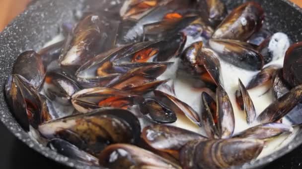 Close Mediterranean Mussels Prepared Cream Sauce Slow Rotation Mussels Opened — Stock Video