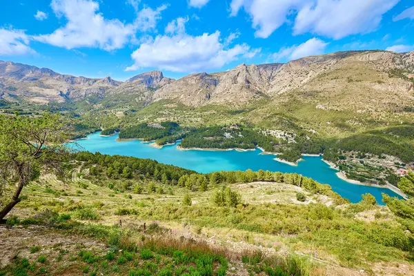 Guadalest rezervuarının manzarası. İspanya 'nın Alicante eyaletinde Guadalest' in doğasında mavi gökyüzüne karşı uzanan yeşil ağaçlarla çevrili sakin bir turkuaz gölü.