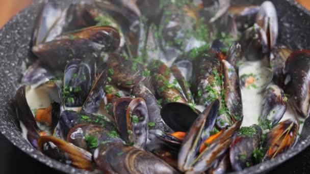 Close Steamed Mediterranean Mussels Prepared Aromatic Herbs Cream Sauce Slow — Stock Video
