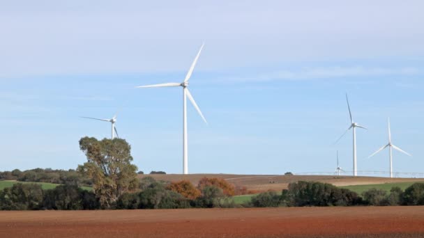 Tarımsal Alanlarda Açık Mavi Gökyüzüne Karşı Rüzgar Türbinleri Rüzgar Türbinleri — Stok video