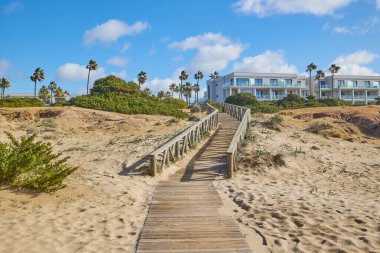 Kumsaldan sahil evine kadar uzanan tahta patika. Kum tepeleri boyunca çalılar var..