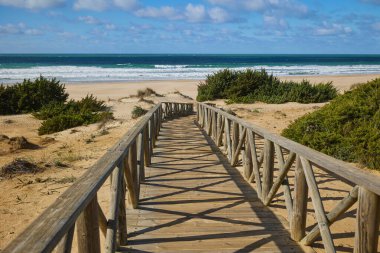 Kum tepelerinin arasından denize giden ahşap patika çalılarla kaplanmış..