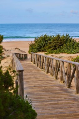 Kum tepelerinin arasından denize giden ahşap patika çalılarla kaplanmış..