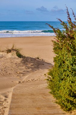 Kum tepelerinin arasından denize giden ahşap patika çalılarla kaplanmış..