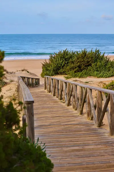 Kum tepelerinin arasından denize giden ahşap patika çalılarla kaplanmış..