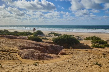 Kum tepeleri ıssız bir plajın ve sonsuz mavi okyanusun arka planında çalılarla kaplıydı..