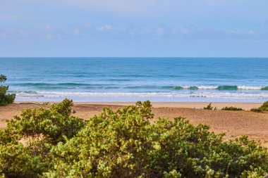 Kum tepeleri ıssız bir plajın ve sonsuz mavi okyanusun arka planında çalılarla kaplıydı..