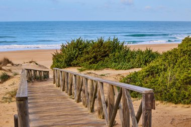 Kum tepelerinin arasından denize giden ahşap patika çalılarla kaplanmış..
