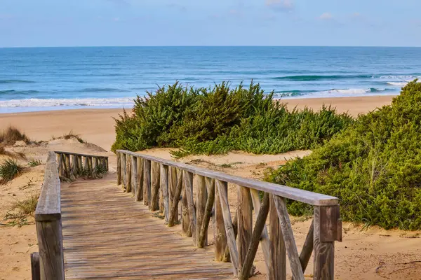 Kum tepelerinin arasından denize giden ahşap patika çalılarla kaplanmış..