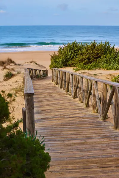 Kum tepelerinin arasından denize giden ahşap patika çalılarla kaplanmış..
