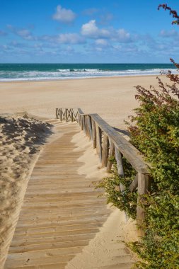 Kum tepelerinin arasından denize giden ahşap patika çalılarla kaplanmış..