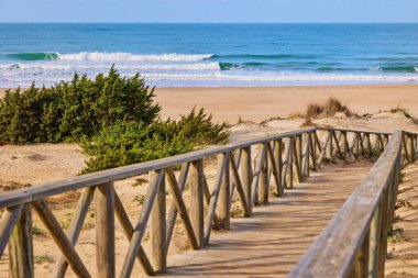 Kum tepelerinin arasından denize giden ahşap patika çalılarla kaplanmış..