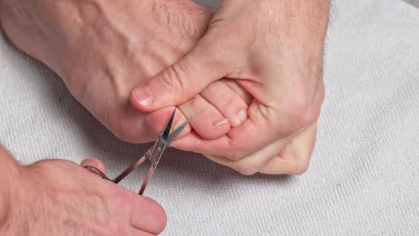Mann Schneidet Zehennägel Mit Schere Männliche Abgeschnittene Fußnägel Fußpflege — Stockvideo