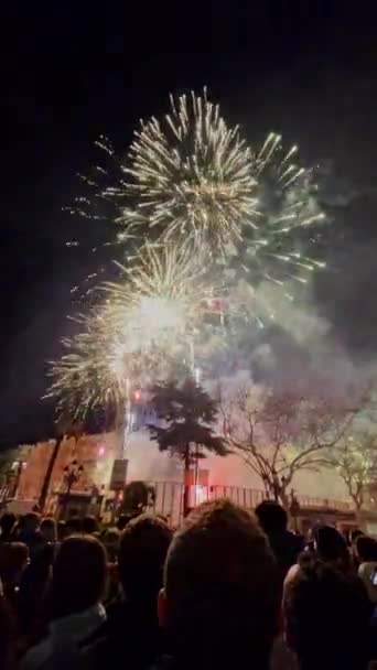 Pessoas Assistem Fogos Artifício Praça Câmara Municipal Valência Durante Noite — Vídeo de Stock